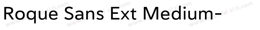 Roque Sans Ext Medium字体转换